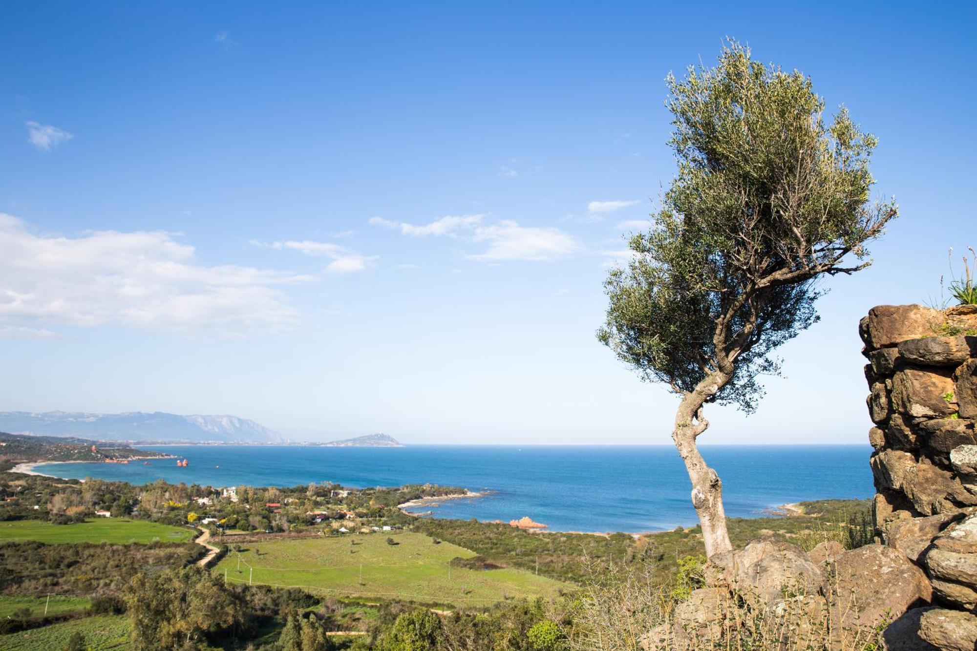Casetta Al Mare Àrbatax Exteriér fotografie